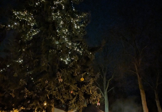 Glühweintrinken unterm Tannenbaum #1